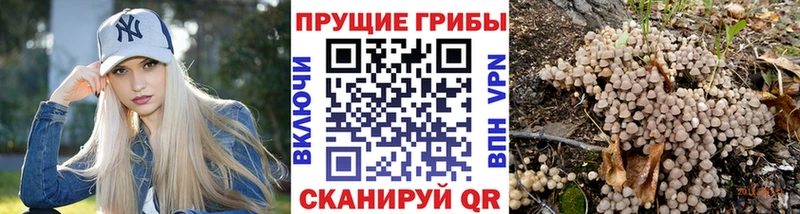 Псилоцибиновые грибы мухоморы блэк спрут маркетплейс Усолье